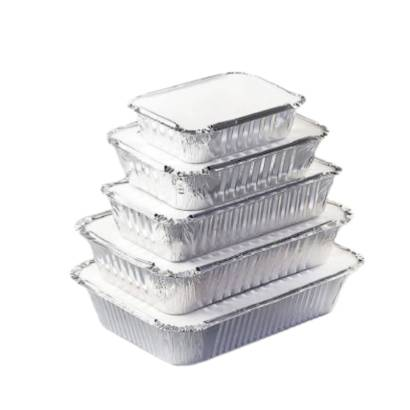 image_2025-03-11_183044940