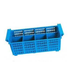 image_2025-03-11_203921775