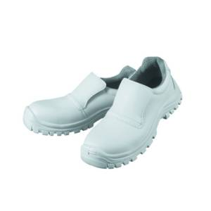 image_2025-03-11_211546446