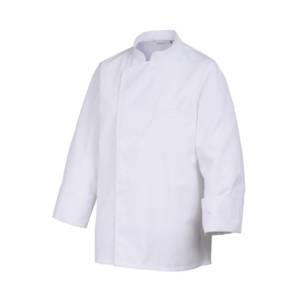 image_2025-03-11_212127830