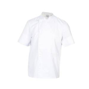 image_2025-03-11_212211581