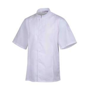 image_2025-03-11_212252352