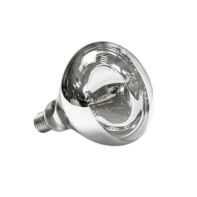 image_2025-03-12_000834872