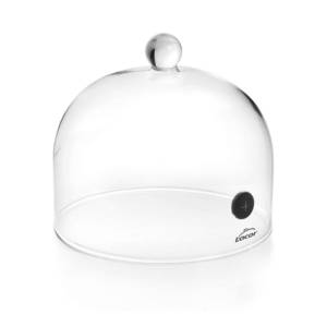 image_2025-03-12_202949057