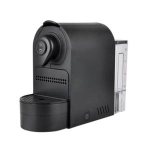 image_2025-03-13_063910248