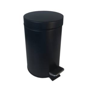 image_2025-03-13_064915623