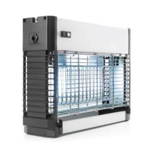 image_2025-03-13_065614531