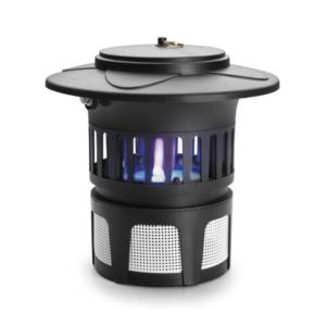 image_2025-03-13_065735361