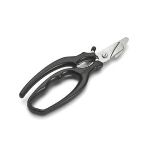 image_2025-03-15_151948051