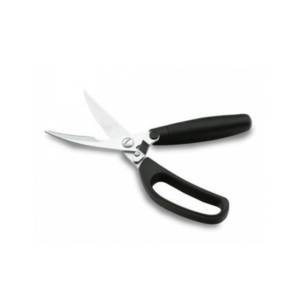 image_2025-03-15_152101818